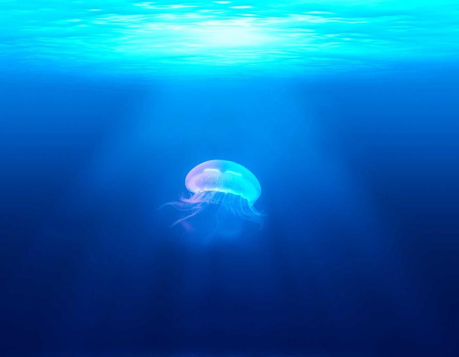 Ambiente relax per trattamenti viso